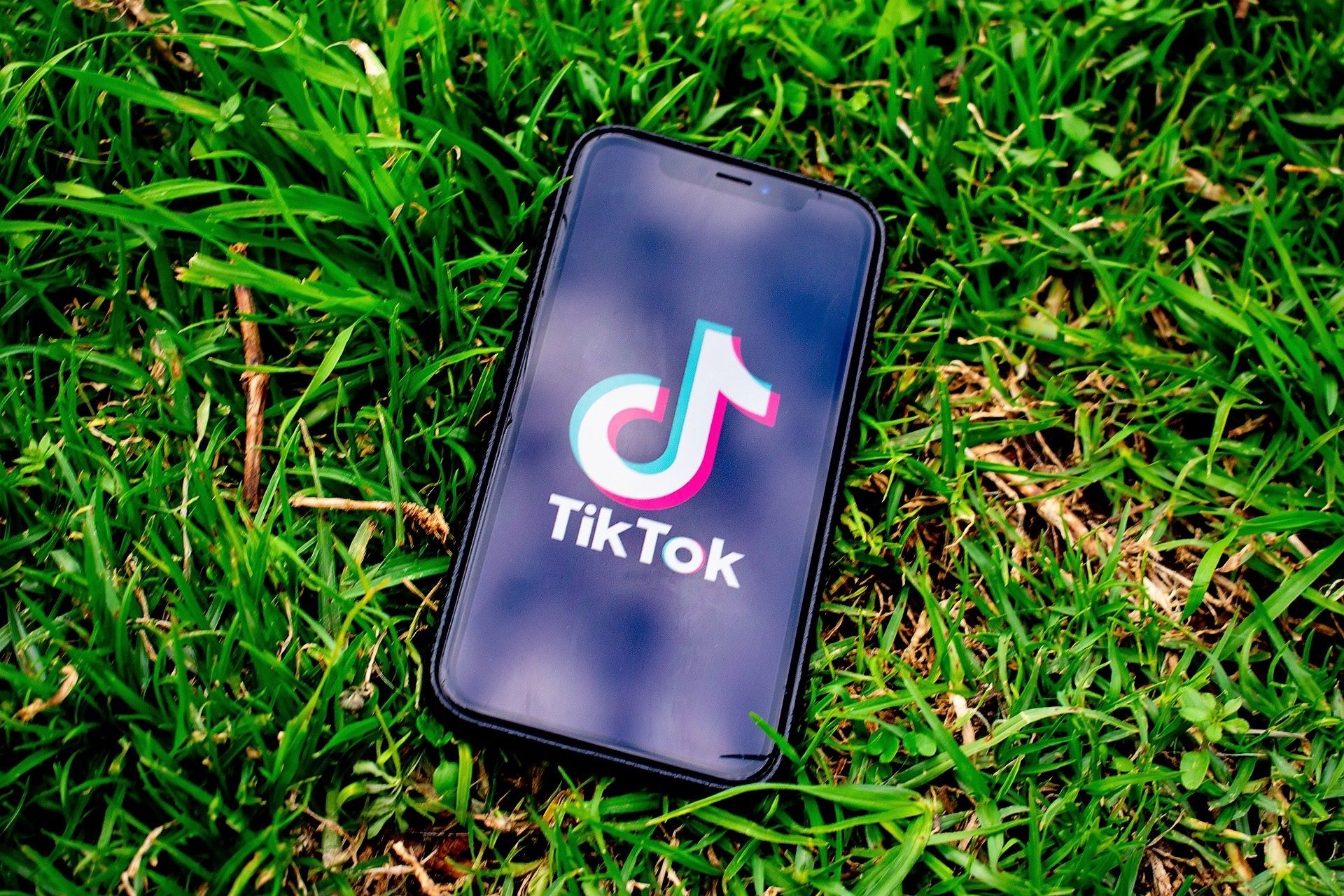 Creating Successful TikTok Marketing Campaigns